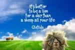 Clotilda Font