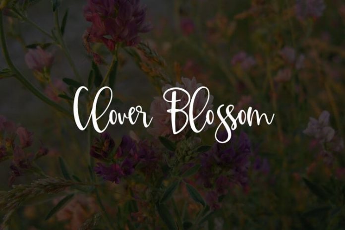 Clover Blossom Font