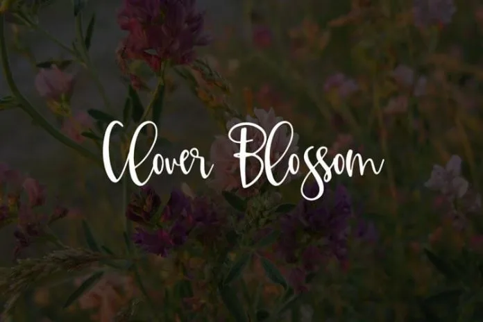 Clover Blossom Font