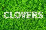Clover Love Font