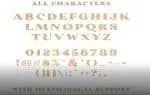 Coachella - Vintage Inspired Serif Font