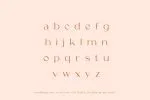 Coax Display Font
