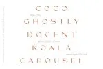 Coax Display Font