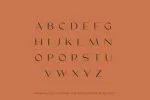 Coax Display Font