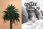 Coffeelover Script Font
