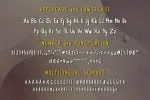 CollBest Font