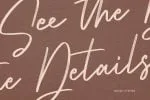 Collathives Signature Brush Font