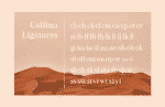 Collina Font