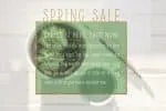 Condensed Serif Font Minty March