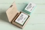 Condensed Serif Font Minty March