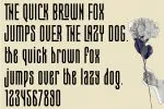 Conical Condensed Font
