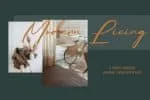 Contoursy Signature Font