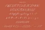 Contoursy Signature Font