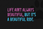 Contrax Font