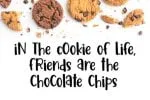 Cookie Crisp Font