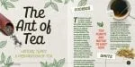 CoolKids Font Family