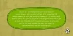 Core Narae Pro Font