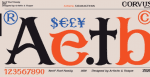 Corvus Font Family