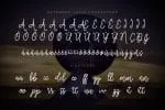Cosmodrome Monoline Script Font