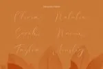 Costa Riyal Font