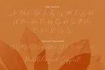 Costa Riyal Font