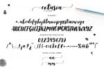 Cotasia Script Font