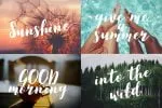 Cotasia Script Font