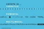 Coyote – Crazy & Retro Font