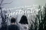 Crasher Script Font