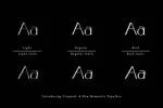 Crayond Font