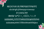 Crazy Beautiful Font