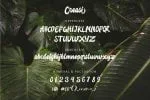 Creasi Font