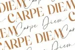 Crimson Foam Chic Stylish Font