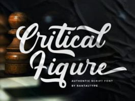 Critical Figure Font