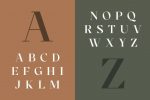 Cronisse - Modern Display Serif Font