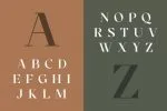Cronisse - Modern Display Serif Font