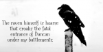 Crow feather Font