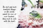 Crusellia Font