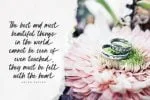 Crusselia Font