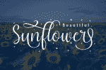 Crysthel Font