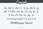 Cupink Font