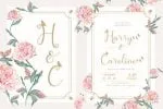 Cute Butterfly Font