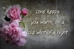 Cyclamen Font