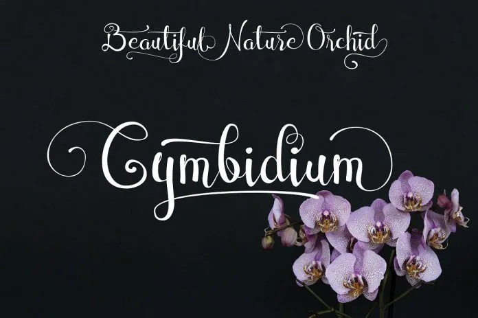 Cymbidium Script Font