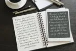 Cymbidium Script Font