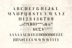 DAENERYS Serif and Script Font Duo