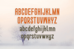 DEVIE TYPEFACE