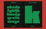 DR Bulk Display Font
