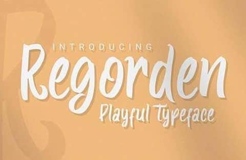DS Regorden Playful Typeface Font