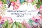 Da Beach Hand Font